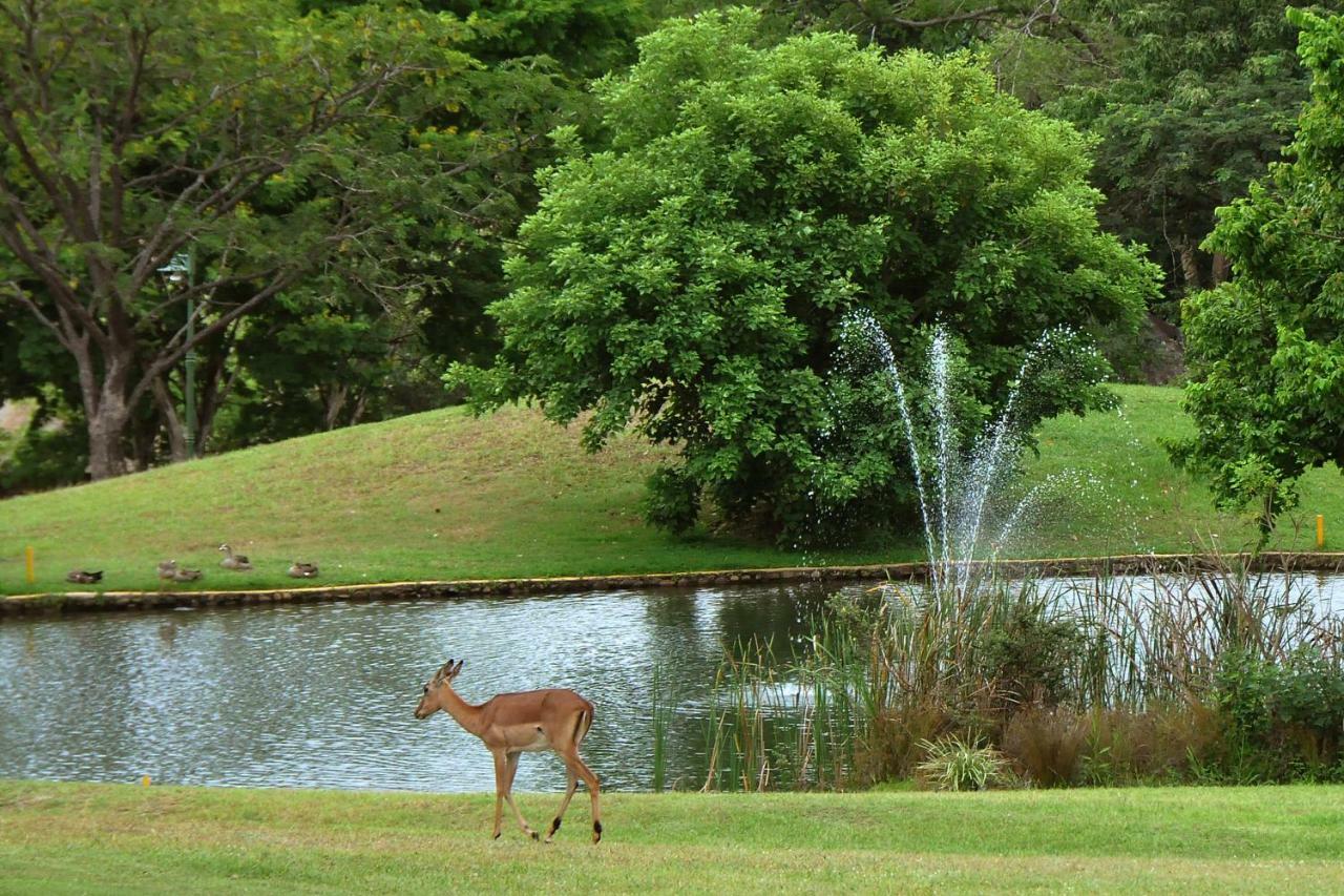 Kruger Park Lodge Unit No. 243 ヘイジービュー エクステリア 写真